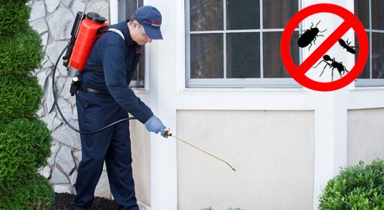 Göksun Fare İlaçlama böcek ilaçlama ve haşere kontrolü — ilaclama-tr.com